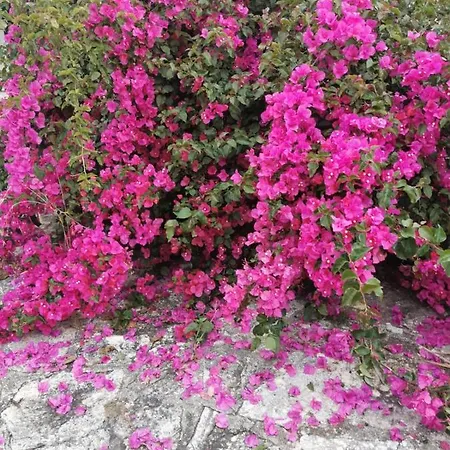 Hébergement de vacances Hakuna Matata Porto Cesareo