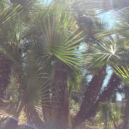 Hakuna Matata Hébergement de vacances *