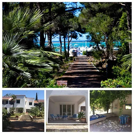 Hakuna Matata Porto Cesareo